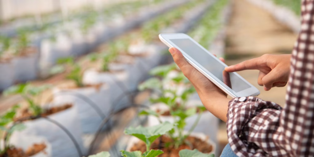 digital-inspection-evidence-agriculture-quality-control
